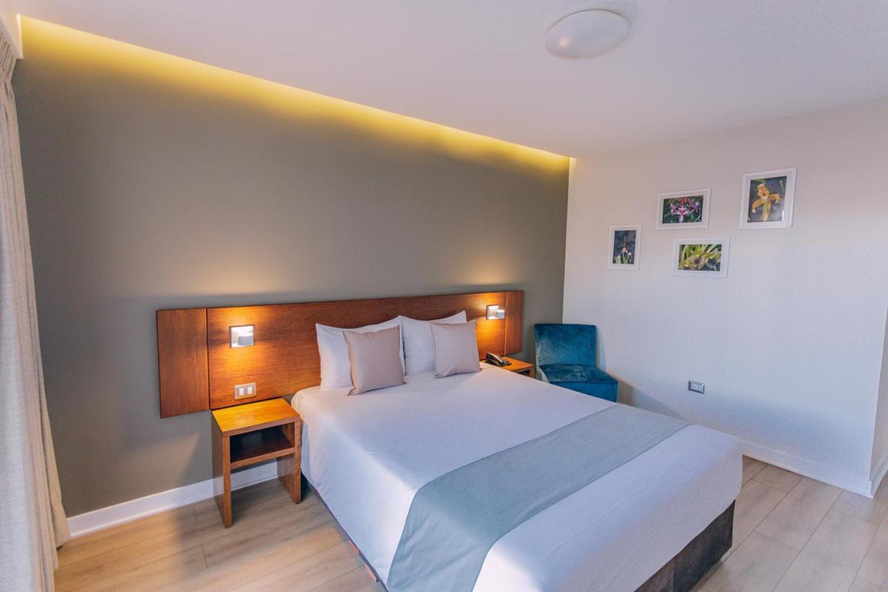 Standard Queen Room